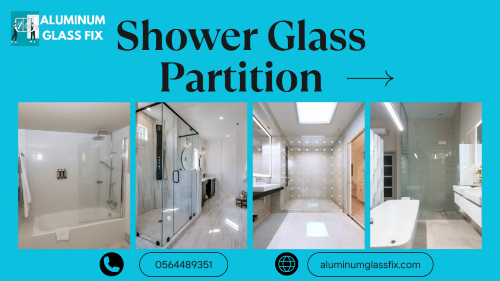 Shower Glass Partition